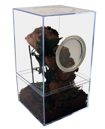 secure tarantula cage